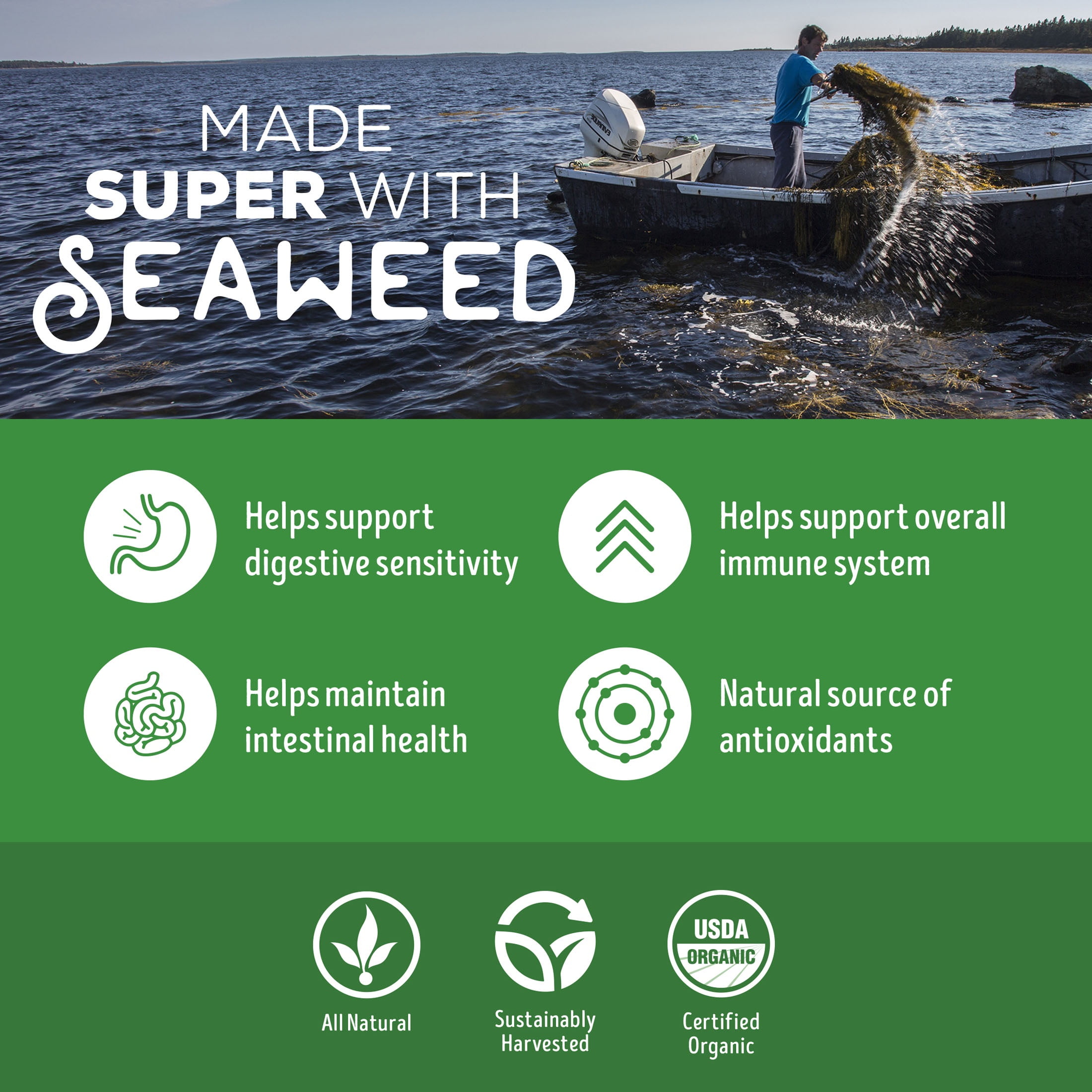 Supreme Source Grain-Free Salmon Meal & Sweet Potato Recipe Dry Dog Food, 22lb Bag