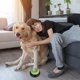 thumbnail image 1 of Botón de entrenamiento para perros que ladran | Juguete de comunicación con grabación de voz para mascotas | Botón interactivo para perros | Herramienta de entrenamiento conductual para aliviar la an, 1 of 5
