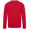 thumbnail image 3 of Men's Levelwear Red Calgary Flames Zane Banner Arch Pullover Sweatshirt, 3 of 3