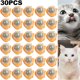 thumbnail image 5 of Con Hierba Gatera Comida Natural Saludable para Gatos Comestible Bocadillos Menta (naranja), 5 of 5