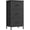 Ink Black + Ebony Black, variant on BELLAH Collection - Dresser for Bedroom, Chest of Drawers, Storage Organizer Unit, Closet, Entryway, Steel, 8 Drawers, Modern, Ebony Black ULGS124BE02S