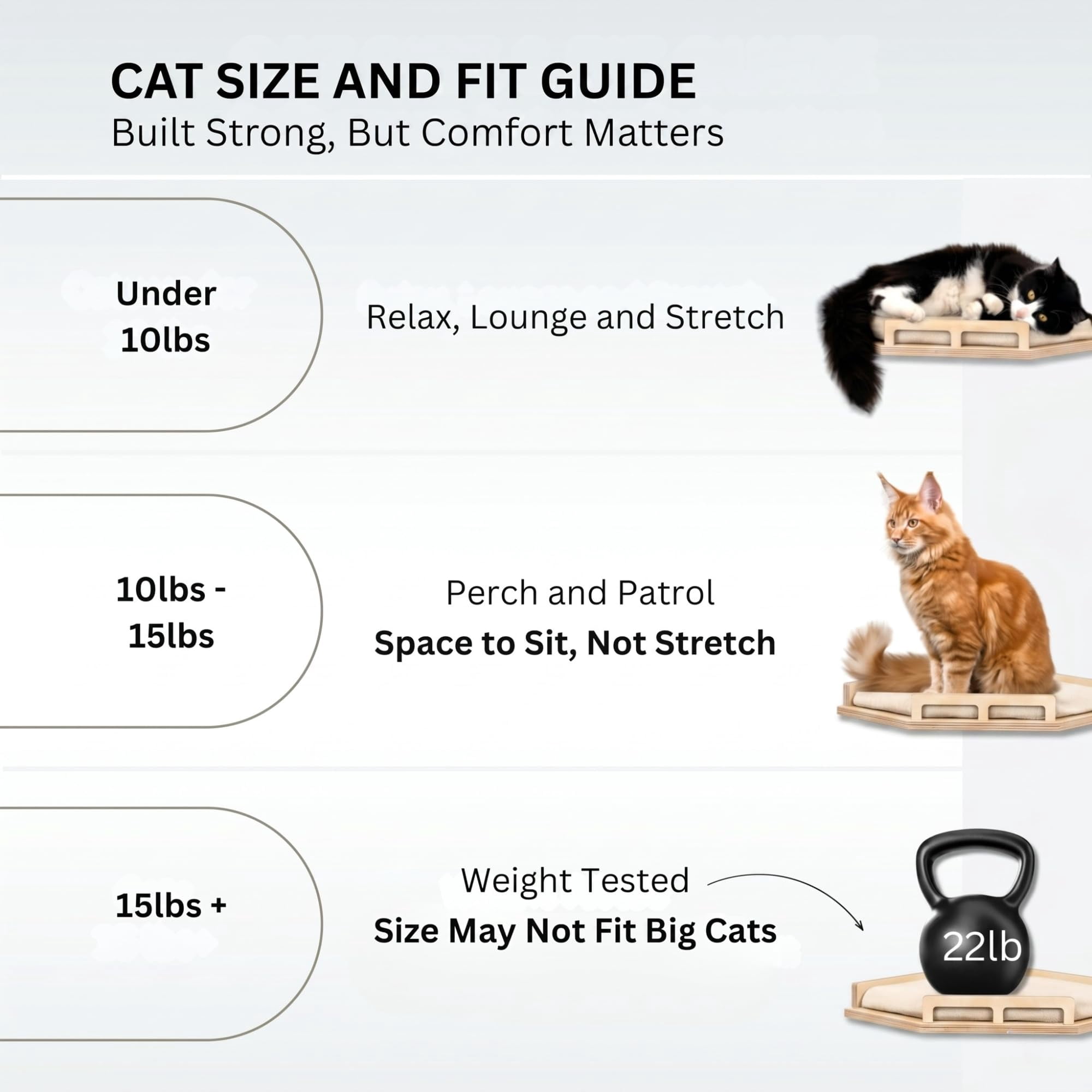 Cat Wall Shelves - Safe And Sturdy Furniture Stylish Corner Shelf With 3 Steps For Cats Up To 15lbs Cushioned Perch Stairs Climbing Playing Wood