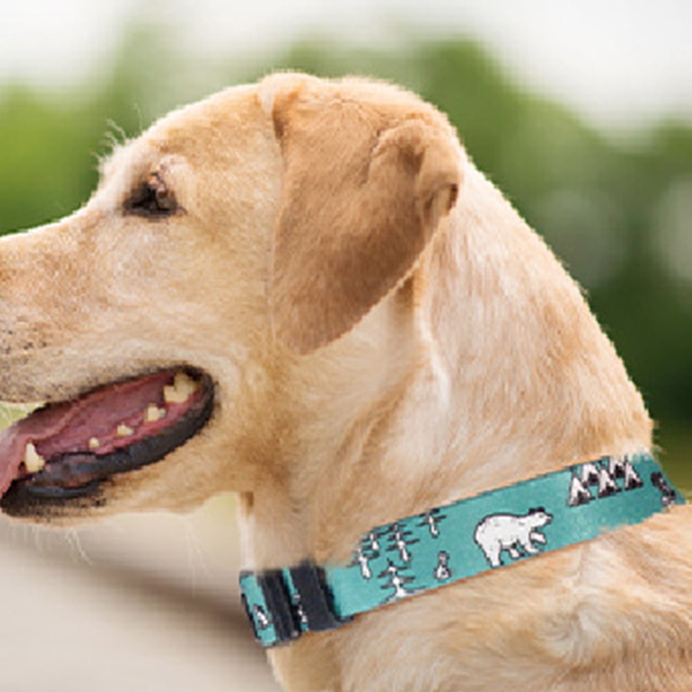 Blueberry pet floral prints dog collar hot sale