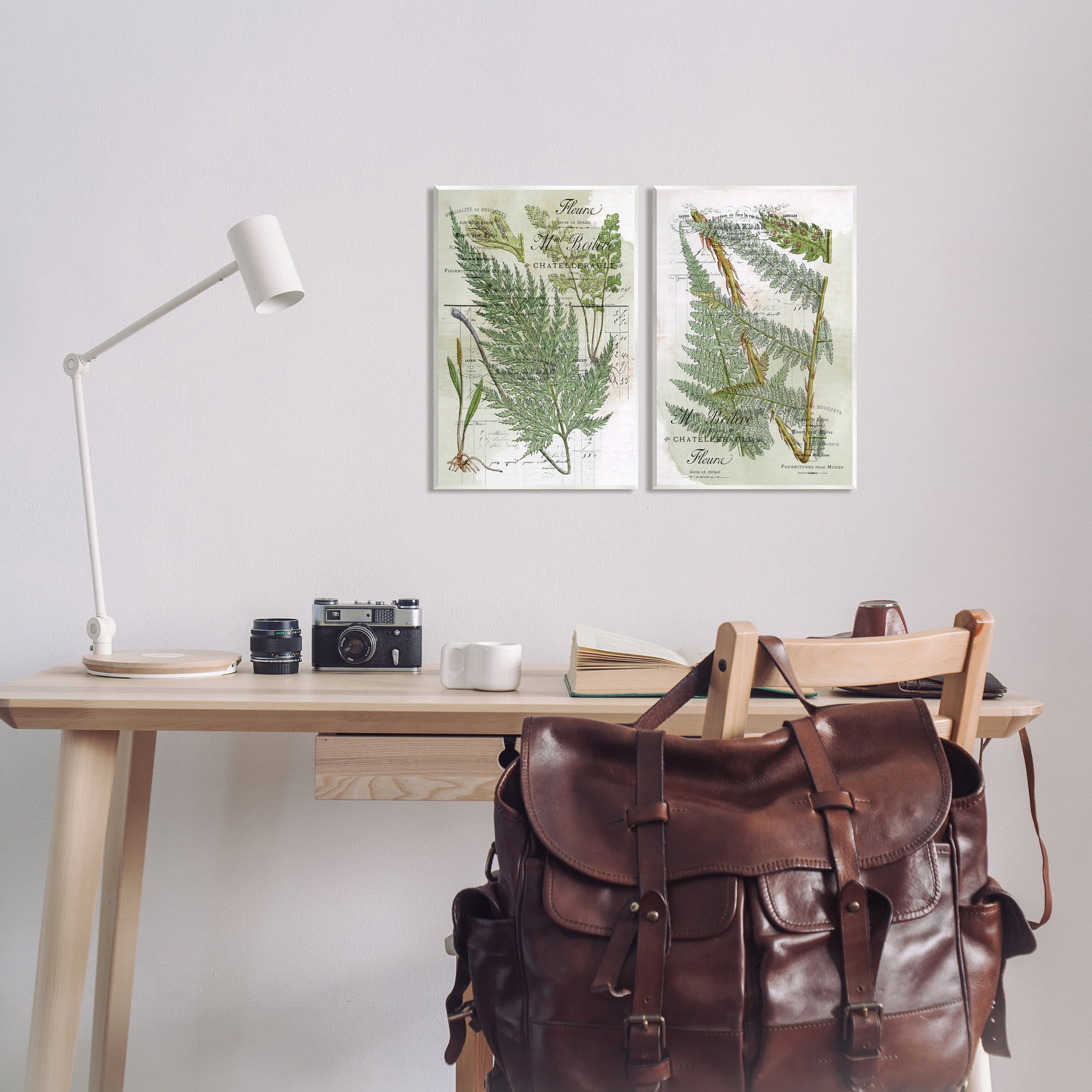 Stupell Woodland Fern Botanical Latin Study Botanical & Floral Painting Wall Plaque Unframed Art Print Wall Art, Set of 2