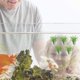 thumbnail image 4 of Soporte de Planta de Aire de 40 Piezas, con Ventosa para Colgar (Plantas No Incluidas), 4 of 5