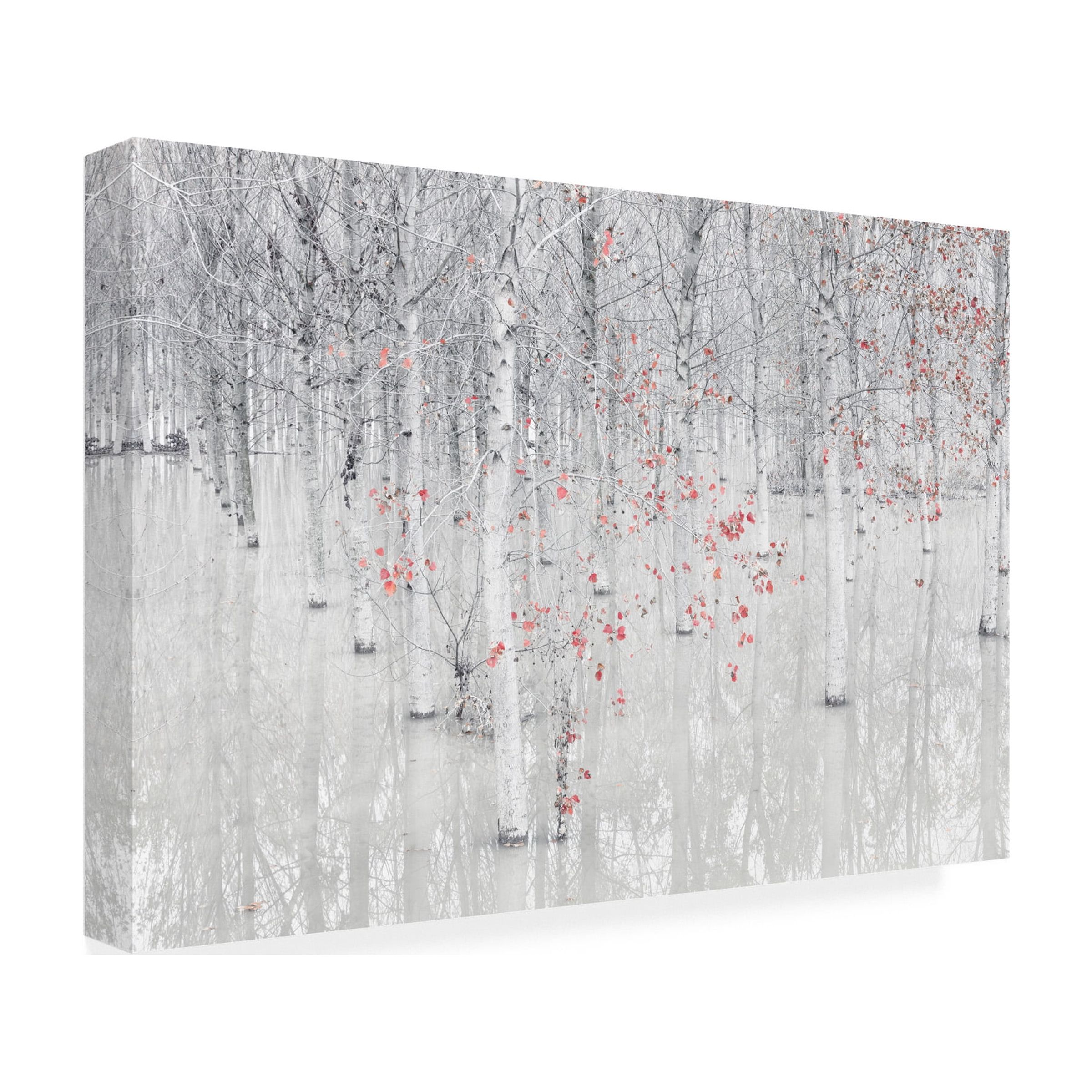 Fiorenzo Carozzi 'Red A White' Canvas Art