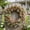 Multicolor411, variant on Tuvgenk Outdoor Wreath Eucalyptus Wreath Round Pink 17x17 inch Plastic Artificial Flower Circular Decor Home Decor