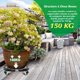 thumbnail image 2 of Soporte para plantas con ruedas Capacidad de carga ajustable de 150 kg Carro con ruedas Maceta para interiores Soporte para plantas Soporte para plantas de interior para macetas Plantas Paraguas Bote JAMW Sencillez, 2 of 5