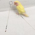 thumbnail image 1 of Arnés De Entrenamiento De Pájaros Resistente Y Duradero, Tobillera De Pájaros, Para Paloma Doméstica YLSHRF Stainless Steel Birds Foot Chain, 1 of 8