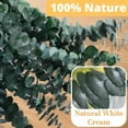 thumbnail image 5 of Lomyolo 12 Pcs Dried Eucalyptus Stems 17" Real Eucalyptus 100% Made From Fresh Eucalyptus Leaves Artificial Eucalyptus for Shower Hanging, Wedding Decor Home Decor Farmhouse Decor Diy Artificial Plan, 5 of 10