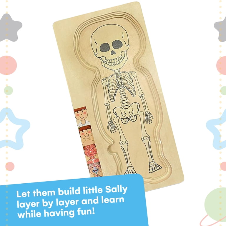 Human Brain Anatomy Puzzle For Kids - 13 Piece Wooden STEM Toy With DIY Coloring (Ages 3+)