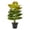 Green,C, variant on Potted PVC Artificial Greenery, Realistic Tropical Faux with Pot, Low Maintenance Desktop Ornament, Fresh L&scape Decor for Home Office, Desk Shelf, Living Room & Kitchen Indoor Decoration
