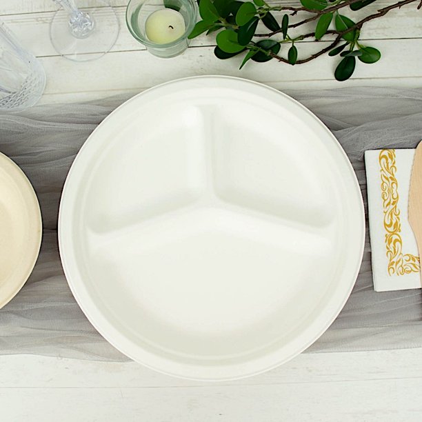 Compartment Dinner Plates