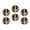 C0544, variant on Glass Refrigerator Magnet 6Pcs Magnetic Fridge Sticker,Decor for Kitchen,Whiteboard,Cabinet,Border Collie Surrounded By Flowers