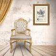 thumbnail image 3 of Nuttall, Thomas 11x14 Gold Ornate Wood Framed with Double Matting Museum Art Print Titled - Vintage Hickory Tree, 3 of 4