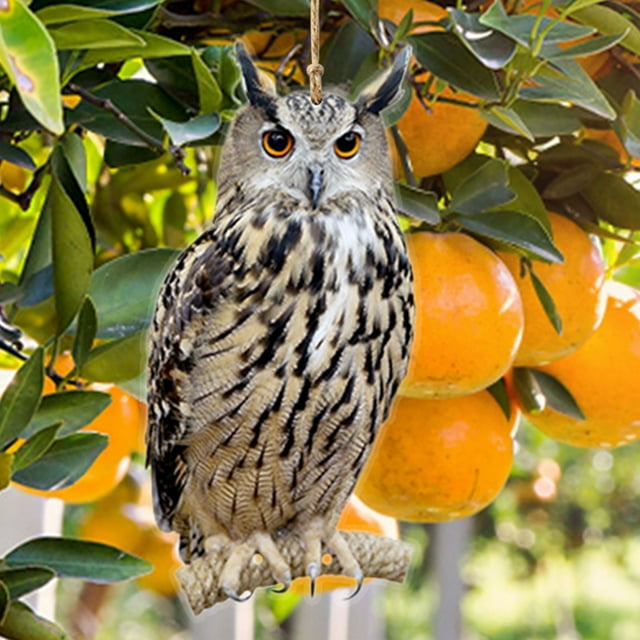 Cqxid Hibou Déserteur Effaroucheur d'Oiseau Plat, Leurres d'Épouvantail avec Ruban Réfléchissant