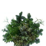 Mixed Evergreens - 10 lb - Green - Natural Product - by Bloomingmore