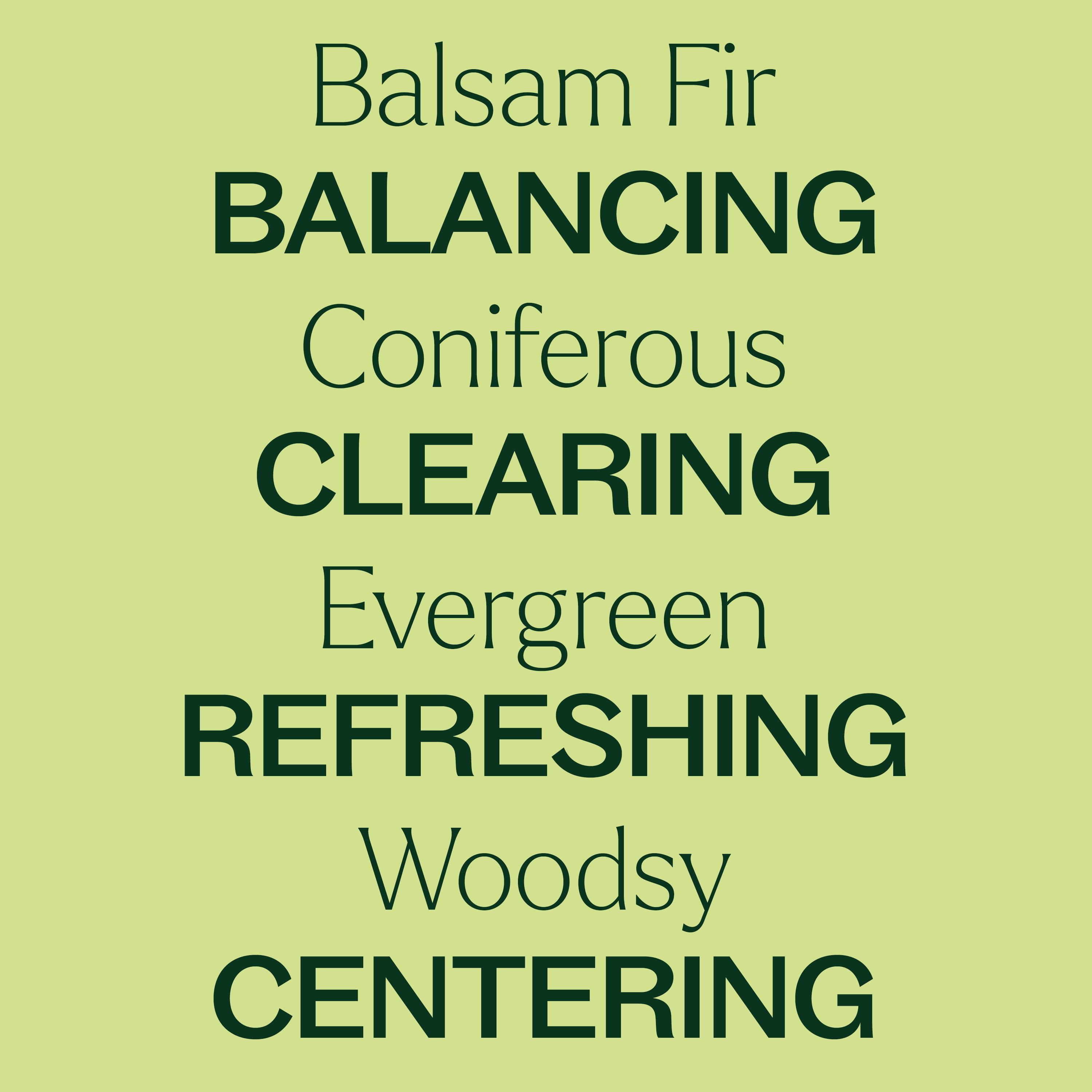 Plant Therapy Balsam Fir Essential Oil 100 mL (3.3 oz) 100% Pure, Undiluted, Natural Aromatherapy