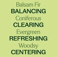 thumbnail image 4 of Plant Therapy Balsam Fir Essential Oil 100 mL (3.3 oz) 100% Pure, Undiluted, Natural Aromatherapy, 4 of 8