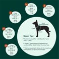 thumbnail image 2 of HQREA Large Medium Dog Tuxedo Suit Formal Pet Wedding Party Suit Puppy Prince Shirt with Bow Tie, 2 of 7