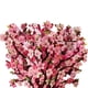 thumbnail image 3 of Tarjeta Felicitación Tridimensional Creativa en 3D Día La Madre San Valentín Mano Papel Sosteniendo Flores Tarjeta Regalo Bendición Agradecimiento (Estilo D) [Tarjeta Felicitación Sakura], 3 of 9