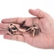 thumbnail image 5 of Pestillo de Gancho y Ojo de 8 pulgadas Uxcell para Puerta de Granero Acero Inoxidable, Tono Cobre, 5 of 7