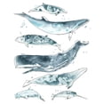 thumbnail image 2 of Vess, June Erica 20x24 White Modern Wood Framed Museum Art Print Titled - 3-UP Cetacea II, 2 of 4