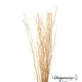 thumbnail image 5 of Uniquewise 12 pcs Natural Decorative Dry Branches Authentic Willow Sticks for Home Decoration, Wedding Craft, 47 in, Black, Stems DIY Greenery Plants Craft Vases fillers Garden Hotel Farmhouse Décor, 5 of 6