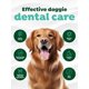 thumbnail image 4 of Gel TropicLean Clean para perros Dog Dental Care, 60 ml, 4 of 7