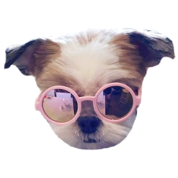 Lentes de Sol para Perros Pequeños hasta 7 kg Rosas con Espejo Rosa