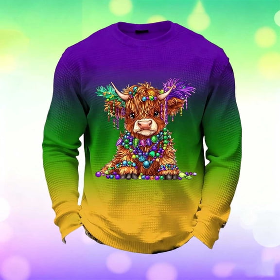 Ceisia Men's Mardi Gras Gradient Waffle-Knit Sweatshirt | Relaxed Spring/Summer Casual Top Gift