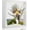 White Frame, variant on Shadow Box Frame Display Case with LED Light 8 x10", 2.76" Deep Shadow Box with Glass Shadow Boxes Display Cases for Photos, Dried Flowers, Handicrafts Picture Frames