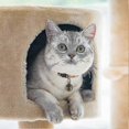 thumbnail image 2 of Extra Loud Pair Of Cat And Dog Bells Brass Bells For Pets Collar Charm Pendant, 2 of 3