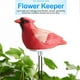 thumbnail image 1 of Probador de para plantas de interior estilo pájaro, medidor de sensor de prueba de humedad del agua, higrómetro, recordatorio de de asper rojo Macarena Medidor de prueba de humedad del suelo, 1 of 8