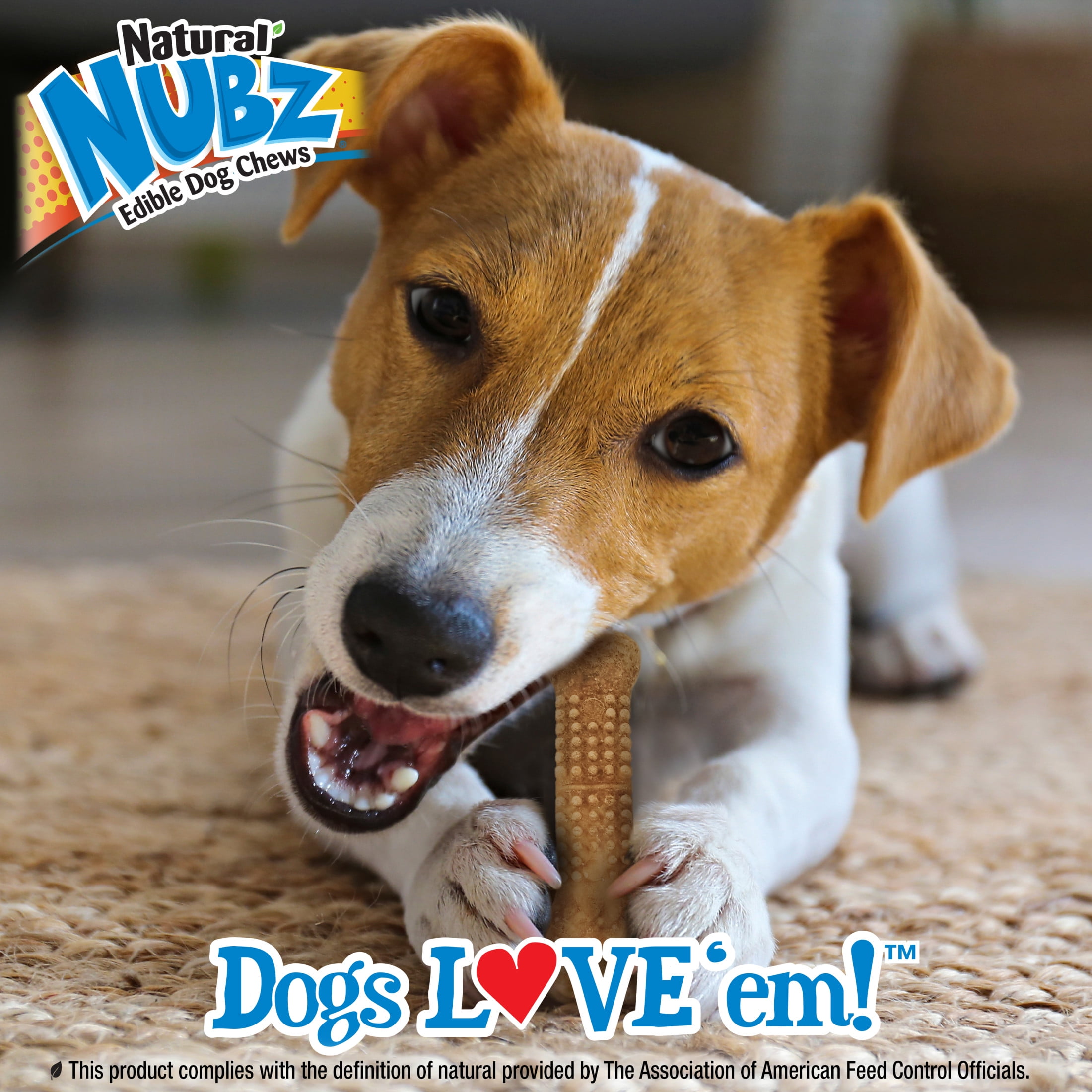 Nylabone Nubz Natural Edible Chew Treats for Dogs, Long Lasting Chews Made in USA, Peanut Butter Flavor, Large - Up to 30 lbs. (18 Count)
