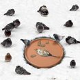 thumbnail image 4 of Bird Bath Heater for Outdoors in Winter Birdbaths Deicer with Thermostatically Controlled for Patio Yard Lawn, 4 of 4