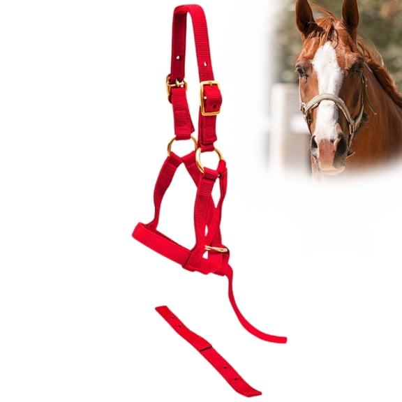 Jeffers Nylon Weanling Halter for Foals, Ponies, Mini Horses, Adjustable 3/4" 2-Ply Webbing, Brass Hardware, Lightweight – Red