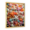 thumbnail image 2 of Designart "Multihued Symphony of Seashells" Coastal Framed Wall Art - Coastal Pink Coastal Tropical Entryway Framed Wall Art Print, 2 of 6