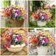 thumbnail image 4 of Flores Artificiales para Exteriores 8 Paquetes TUNC Color Púrpura 32 cm, 4 of 4
