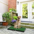 thumbnail image 1 of PETMAKER  Puppy Potty Trainer - The Indoor Restroom for Pets 20 x 25, 1 of 5