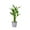A, variant on BOBOMOTI Artificial Bamboo Plants Faux Lucky Bamboo Fake Plants for Indoor Home Decor Table, Desk, Office Decorations