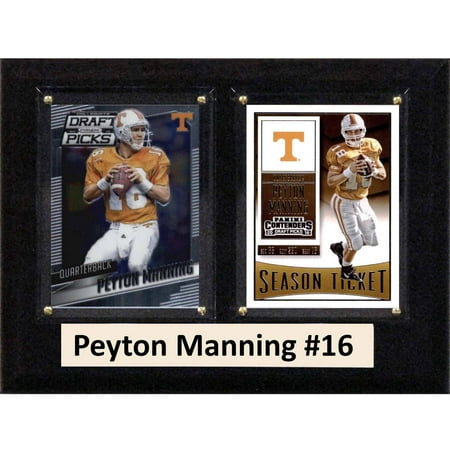 Tennessee Volunteers Wall - C & I Collectables NCAA 6