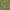 Green, variant on Unique Loom Outdoor Botanical Collection Area Rug - Curl (4' x 6' Rectangle Gray/Navy Blue)