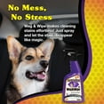 thumbnail image 4 of Wizards Pet Stain Remover & Odor Eliminator – 22 oz Enzyme-Free Spray for Carpets, Furniture & Upholstery – Pet-Safe & Eco-Friendly Formula with Fresh Scent for Tough Stains & Smells, 4 of 7