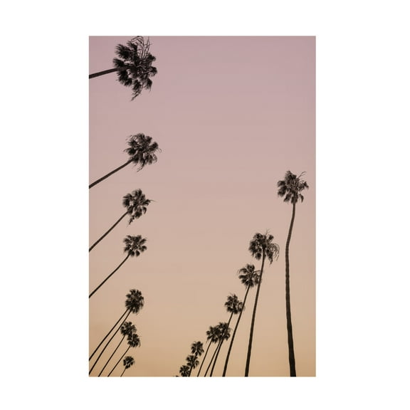 Trademark Fine Art Shot by Clint Cali Cathedrals 05 Canvas Wall Art