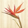 thumbnail image 2 of Vassileva, Silvia 20x20 White Modern Wood Framed Museum Art Print Titled - Tropical Garden IV, 2 of 4
