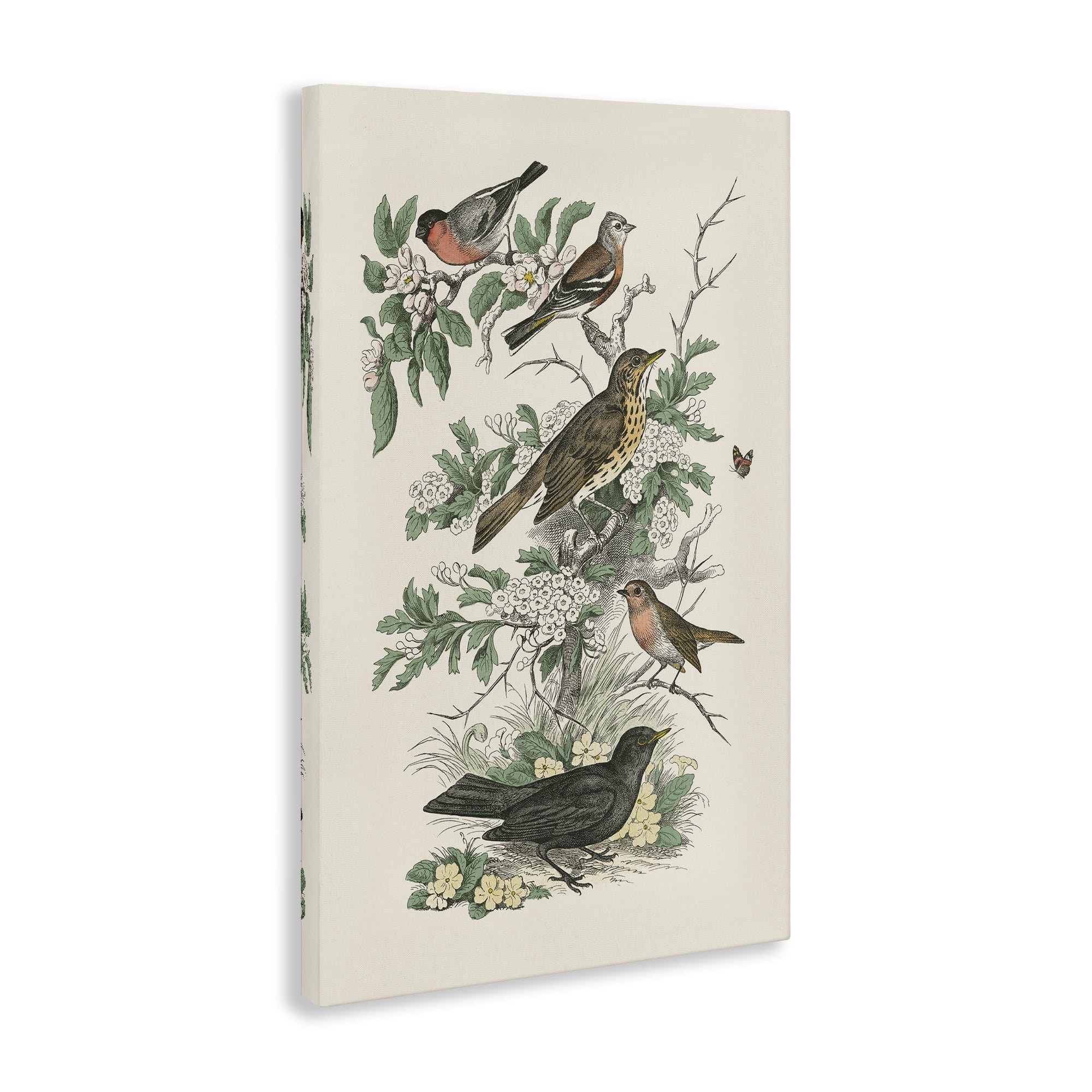 Stupell Industries Honeybloom Birds Perched Botanical & Floral Painting Gallery Wrapped Canvas Art Print Wall Art, 16 x 24