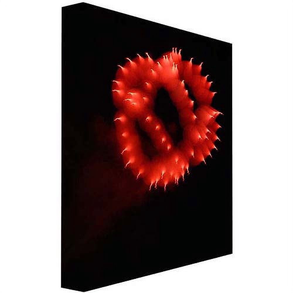 Trademark Art "Abstract Fireworks III" Canvas Art by Kurt Shaffer