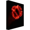 thumbnail image 2 of Trademark Art "Abstract Fireworks III" Canvas Art by Kurt Shaffer, 2 of 2