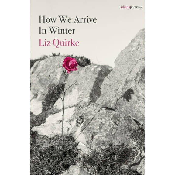 How We Arrive in Winter (Paperback)